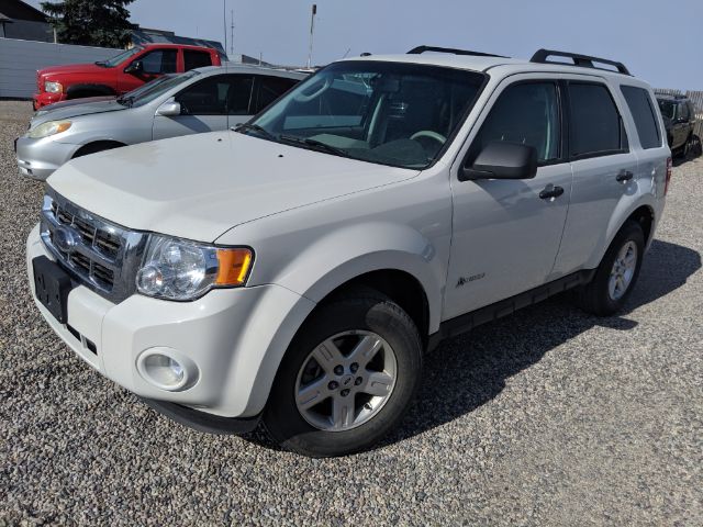 Vehicle Pic